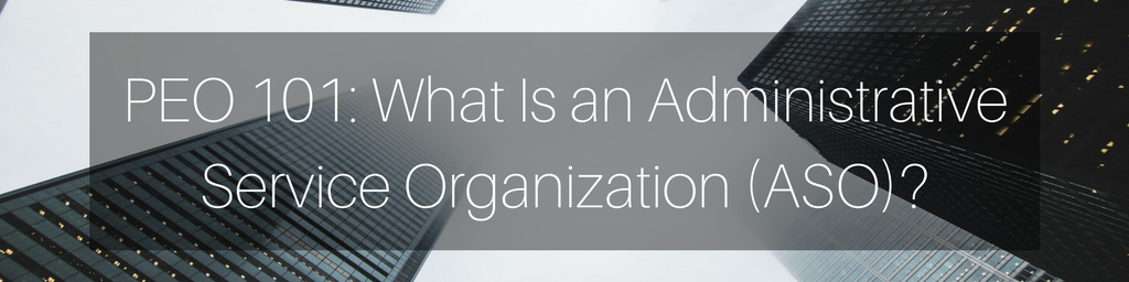 What Is an Administrative Service Organization?